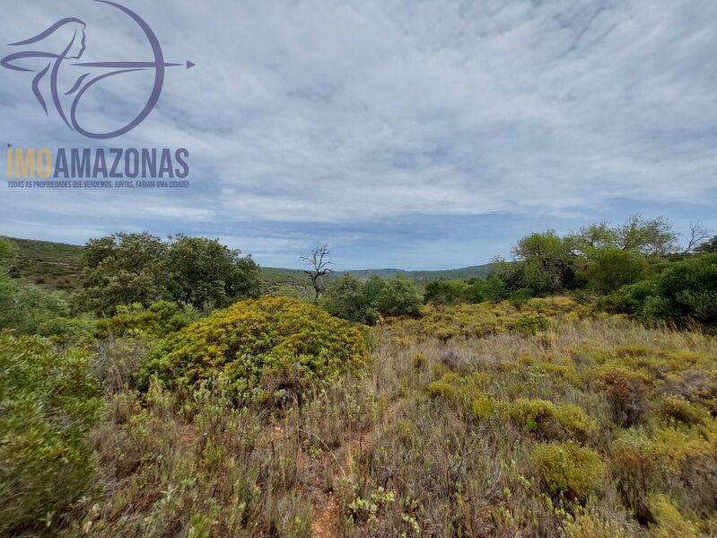 Land Rustic with 9770sqm Loulé - olive trees, arable crop