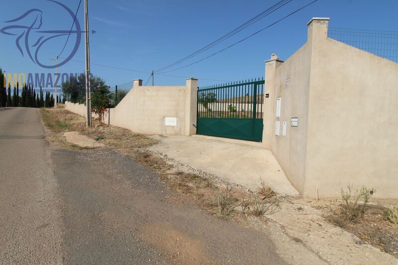 Ruine 3 bedrooms Single storey in the countryside Silves - garden