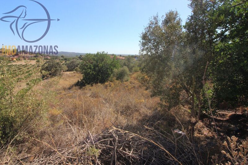 Land Rustic with 5160sqm São Bartolomeu de Messines Silves - easy access, electricity