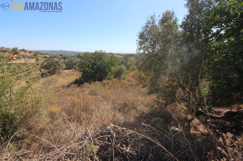 Land with 5160sqm São Bartolomeu de Messines Silves - ,