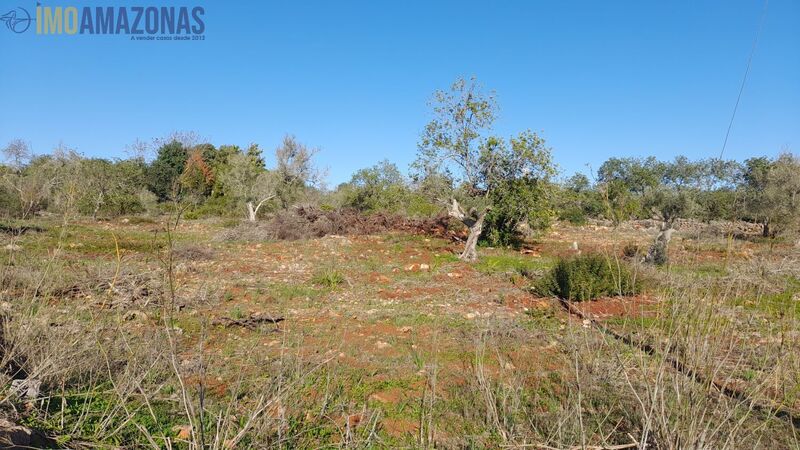 Land Rustic with 2440sqm São Bartolomeu de Messines Silves - water, electricity, mains water, good access