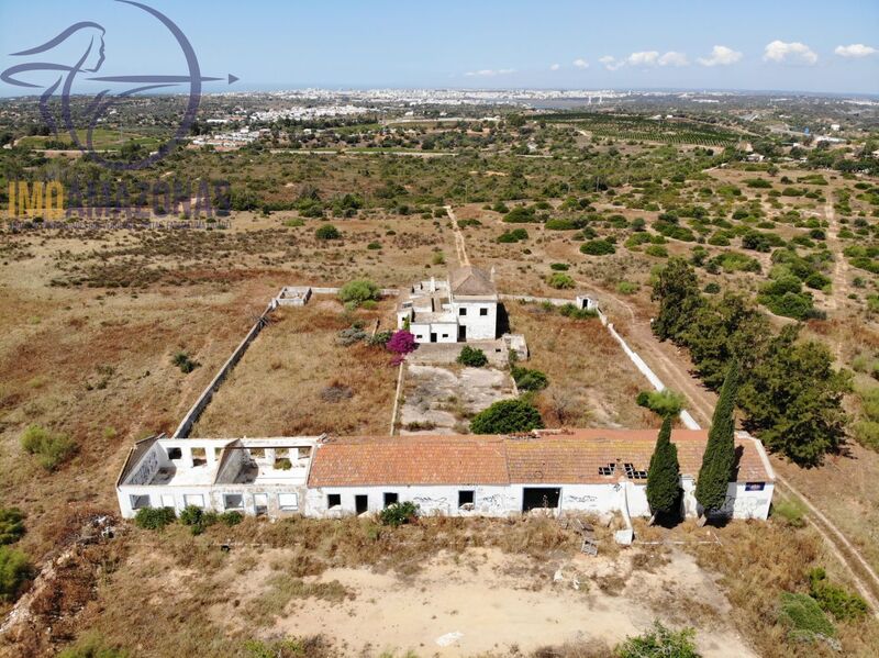Farm Lagoa (Algarve)