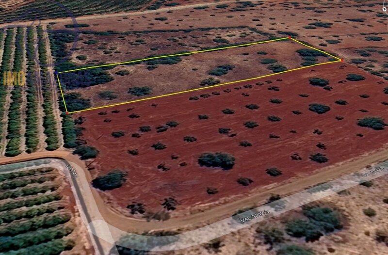 Land with 6440sqm São Bartolomeu de Messines Silves - electricity, easy access