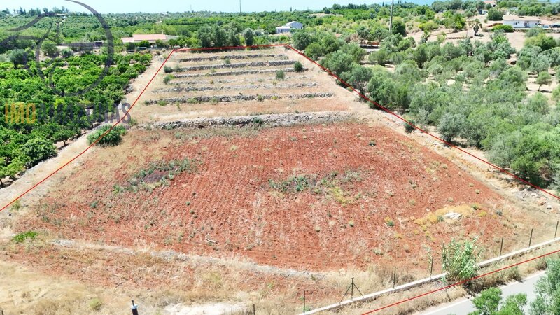 Land Rustic with 6360sqm Silves - electricity, water, well