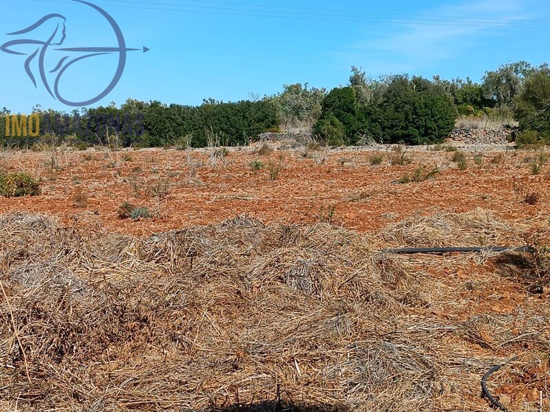 Land Rustic flat Silves - water