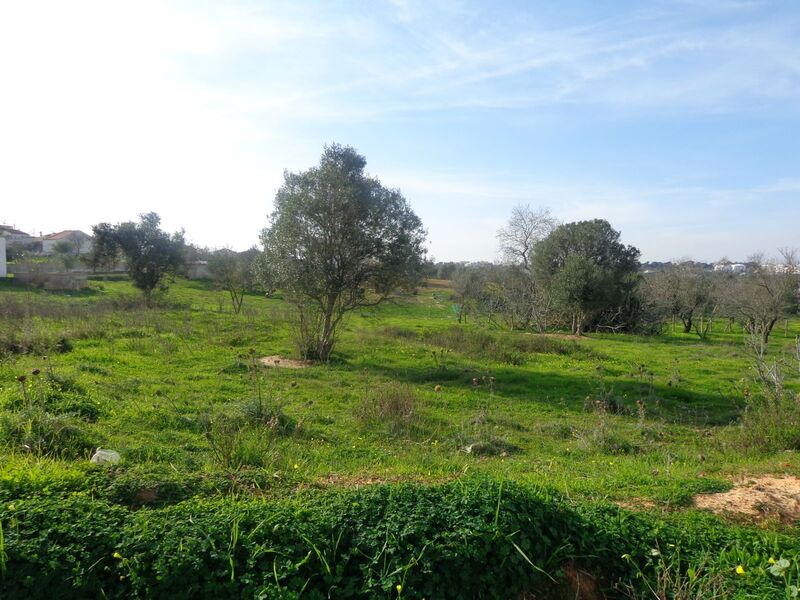 Terreno Urbano com 7833m2 Vale de França Portimão - viabilidade de construção, água, luz, excelente localização