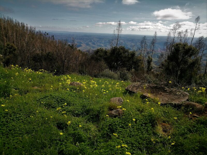 Terreno Misto com 115360m2 Picota Monchique - viabilidade de construção, água