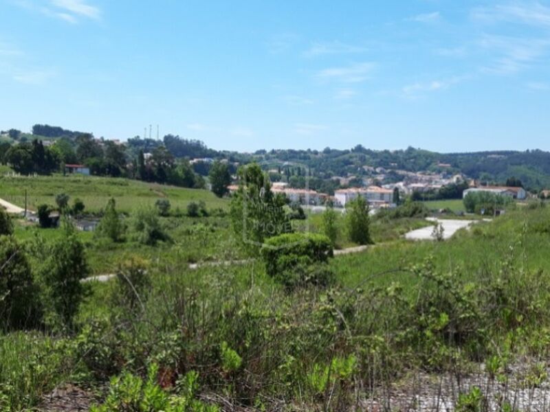 Plot of land Agricultural with 151950sqm Alcobaça