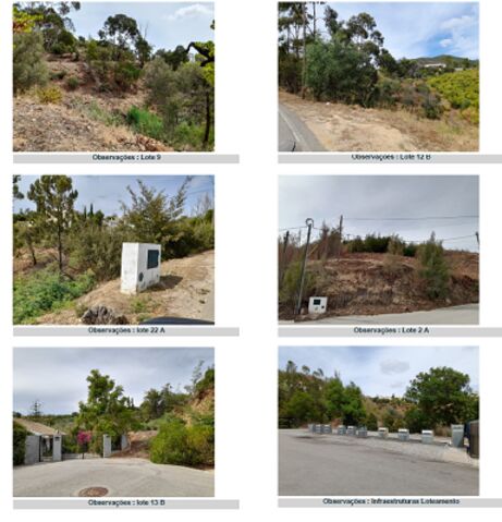 Lote Urbano com 2000m2 Monchique