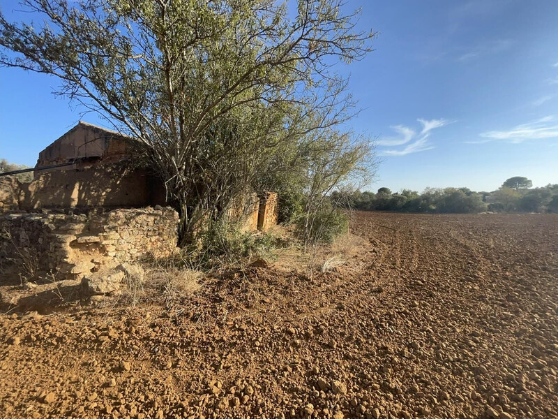 Chácara/Sítio/Fazenda com ruína V0 Alcantarilha e Pêra Silves