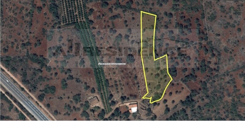 Ruina com 180M2 e terreno plano com 4680M2