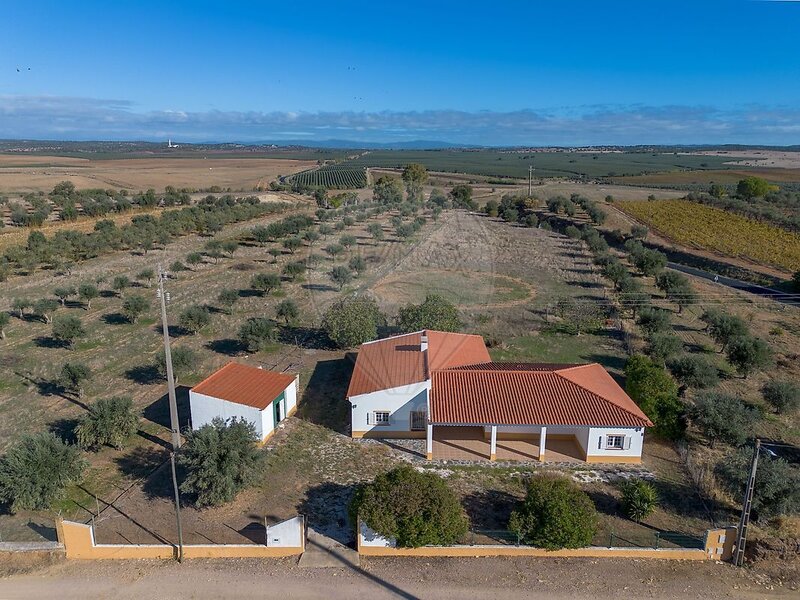Quinta T4 à venda em Montoito, Redondo RE/MAX Portugal