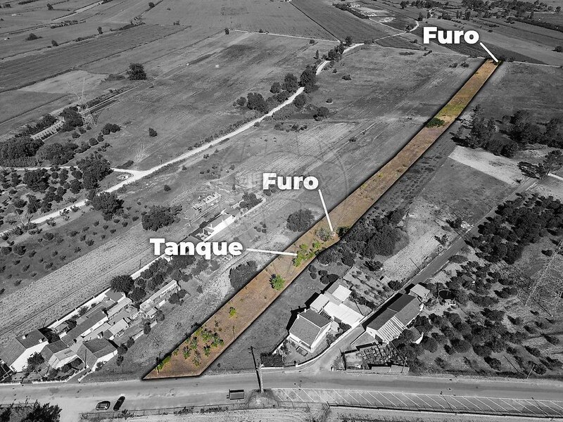 Terreno à venda em Carregueira, Chamusca RE/MAX Portugal