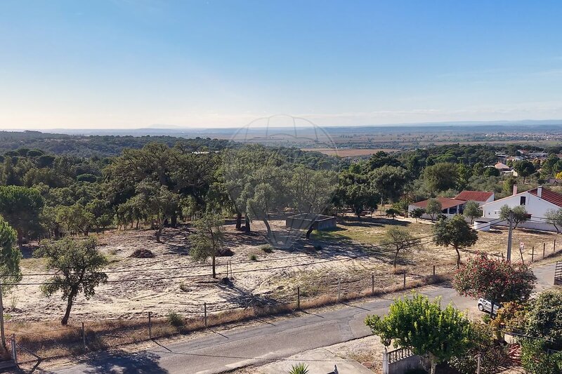 Terreno à venda em Chamusca e Pinheiro Grande, Chamusca RE/MAX Portugal