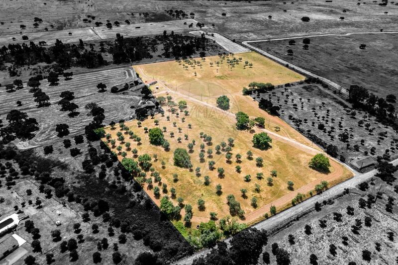 Terreno à venda em São Cristóvão, Montemor-o-Novo RE/MAX Portugal