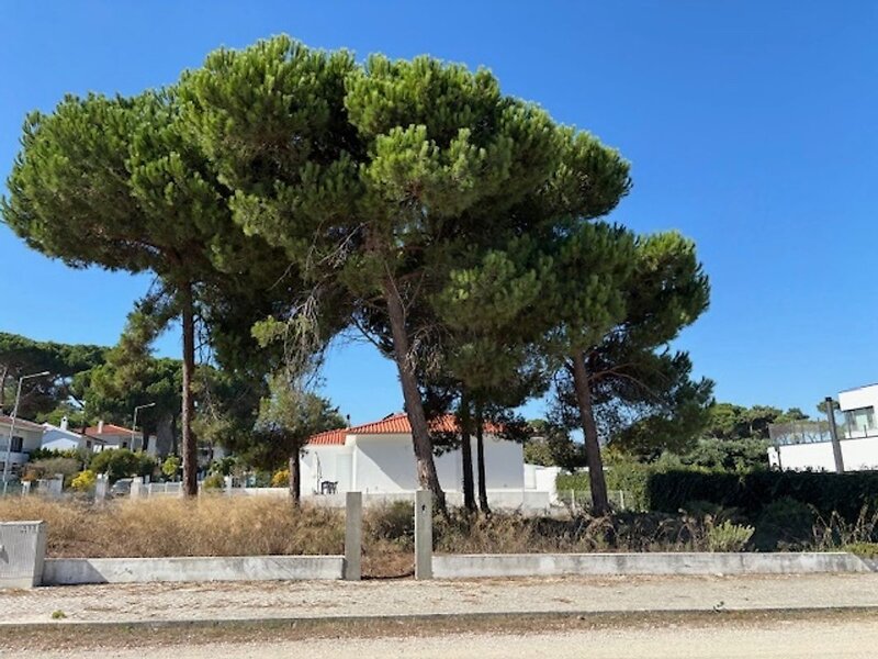 Terreno à venda em Castelo (Sesimbra), Sesimbra RE/MAX Portugal