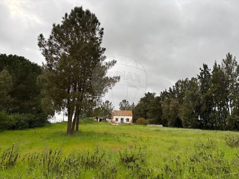 Terreno à venda em Palmela, Palmela RE/MAX Portugal