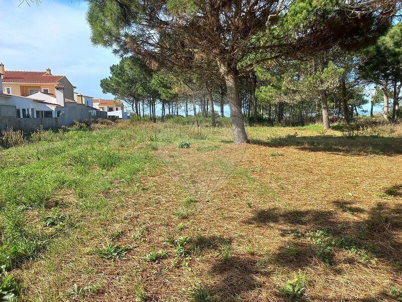 Terreno à venda em Encarnação, Mafra RE/MAX Portugal