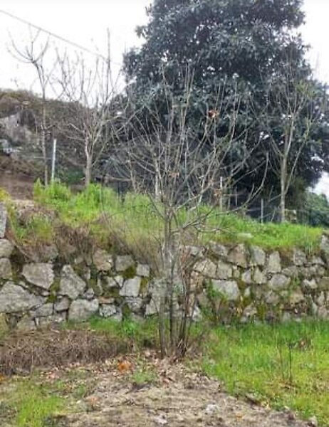 Terreno à venda em Riba de Ave, Vila Nova de Famalicão RE/MAX Portugal