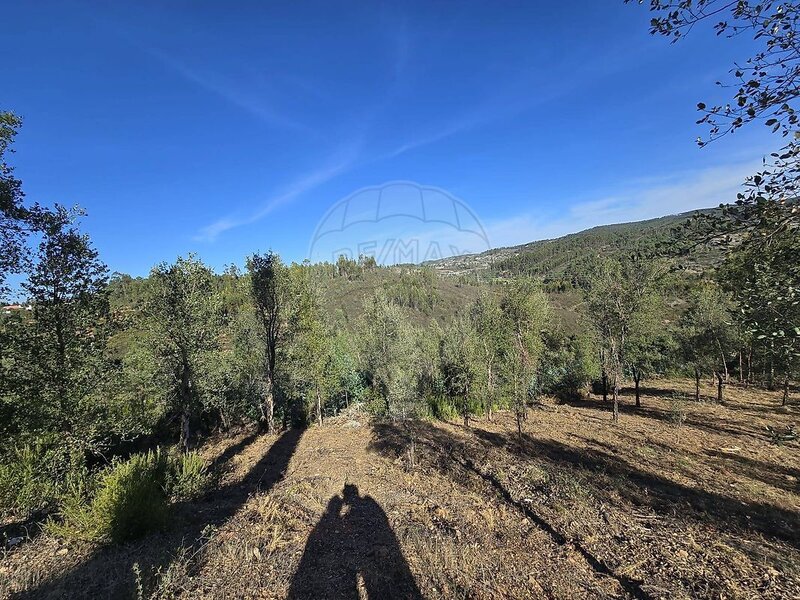 Terreno à venda em Martinchel, Abrantes RE/MAX Portugal