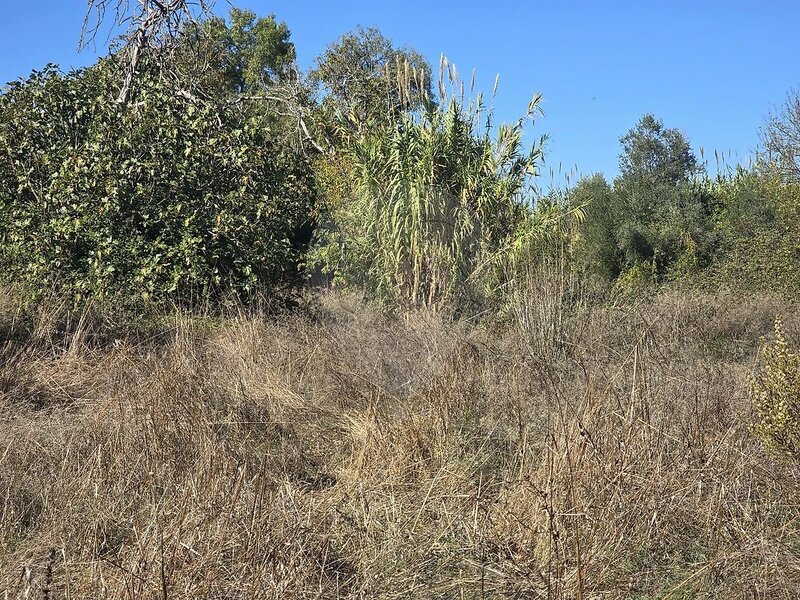 Terreno à venda em Olaia e Paço, Torres Novas RE/MAX Portugal
