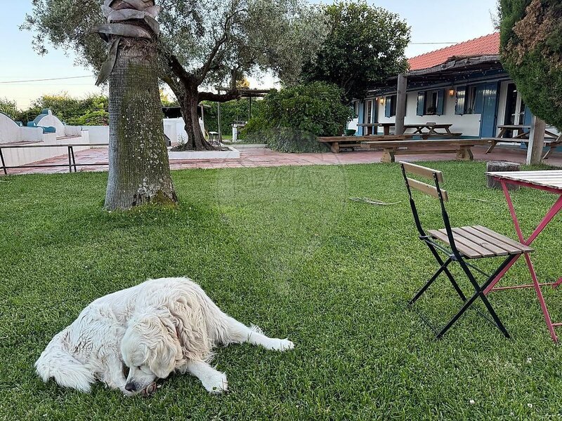 Quinta à venda em Branca, Coruche RE/MAX Portugal