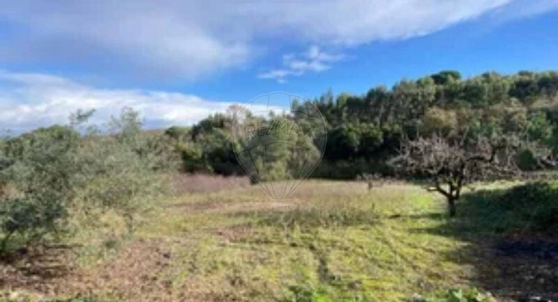 Terreno à venda em São Vicente do Paul e Vale de Figueira, Santarém RE/MAX Portugal