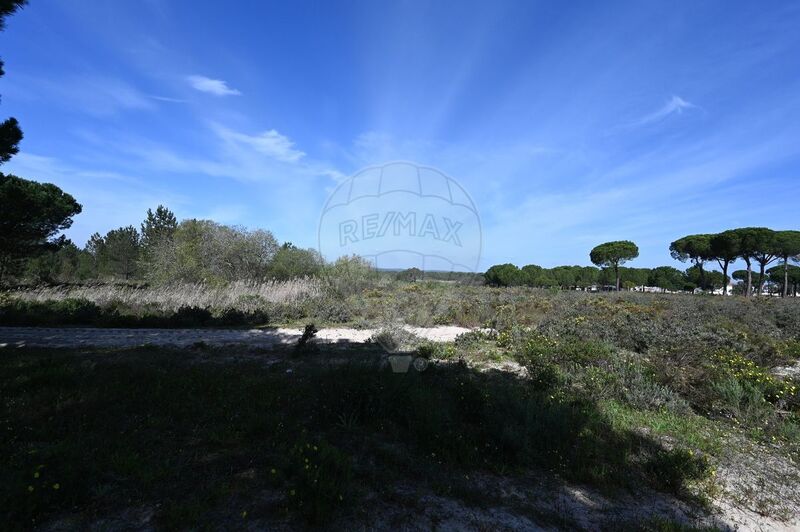 Terreno à venda em Alcácer do Sal (Santa Maria do Castelo e Santiago) e Santa Susana, Alcácer do Sal RE/MAX Portugal