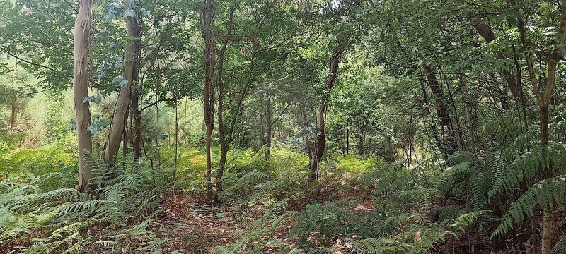 Terreno à venda em Boa Aldeia, Farminhão e Torredeita, Viseu RE/MAX Portugal