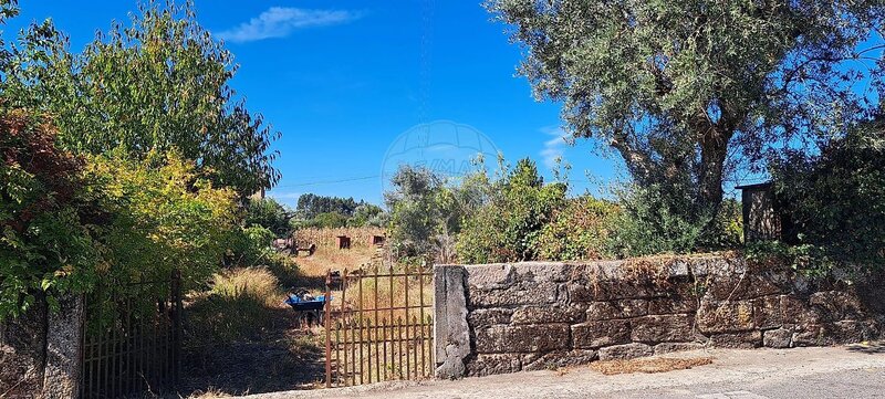 Terreno à venda em Lajeosa do Dão, Tondela RE/MAX Portugal