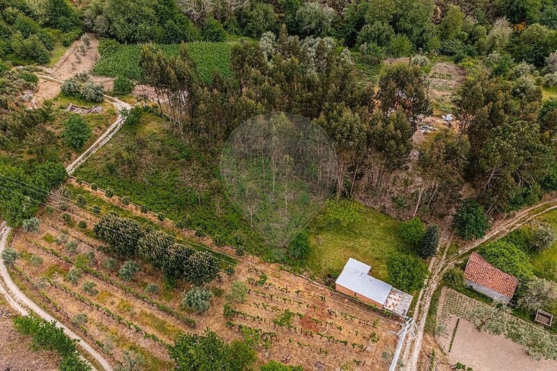 Terreno à venda em Currelos, Papízios e Sobral, Carregal do Sal RE/MAX Portugal