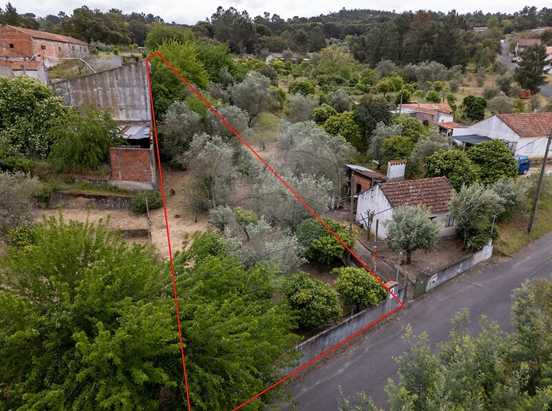 Terreno à venda em Carregueira, Chamusca RE/MAX Portugal