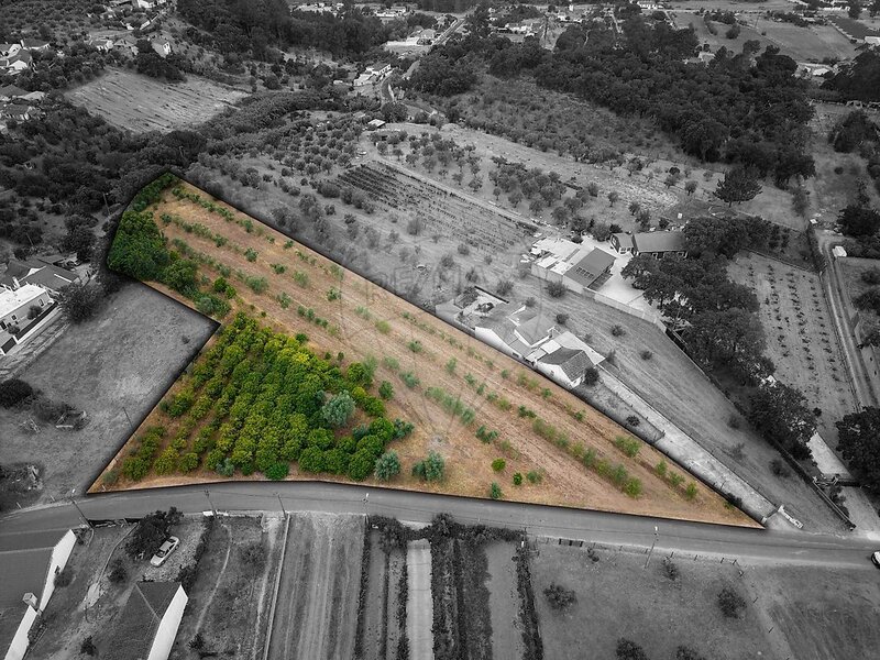 Terreno à venda em Chamusca e Pinheiro Grande, Chamusca RE/MAX Portugal
