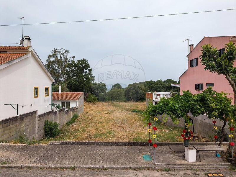 Terreno à venda em Chamusca e Pinheiro Grande, Chamusca RE/MAX Portugal