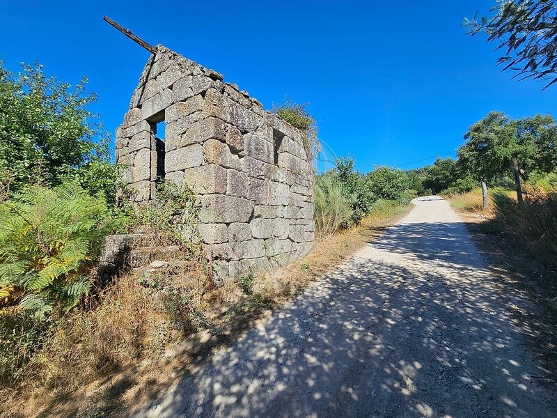 Terreno à venda em Beijós, Carregal do Sal RE/MAX Portugal