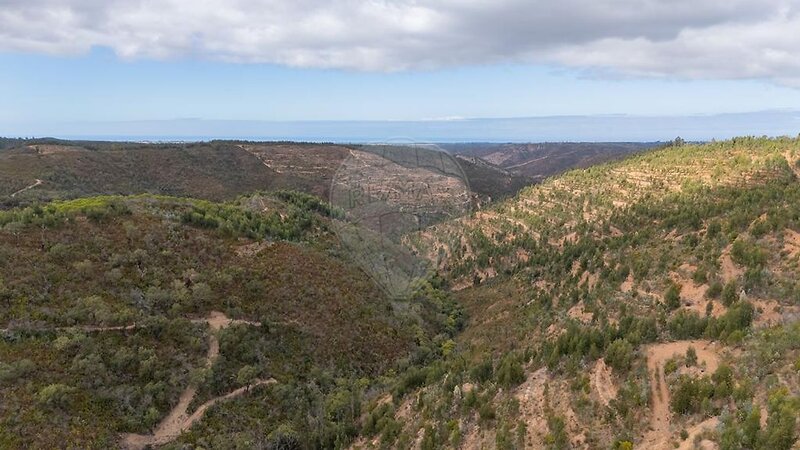 Terreno à venda em São Teotónio, Odemira RE/MAX Portugal