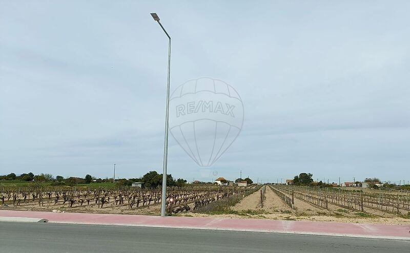 Terreno à venda em Almeirim, Almeirim RE/MAX Portugal