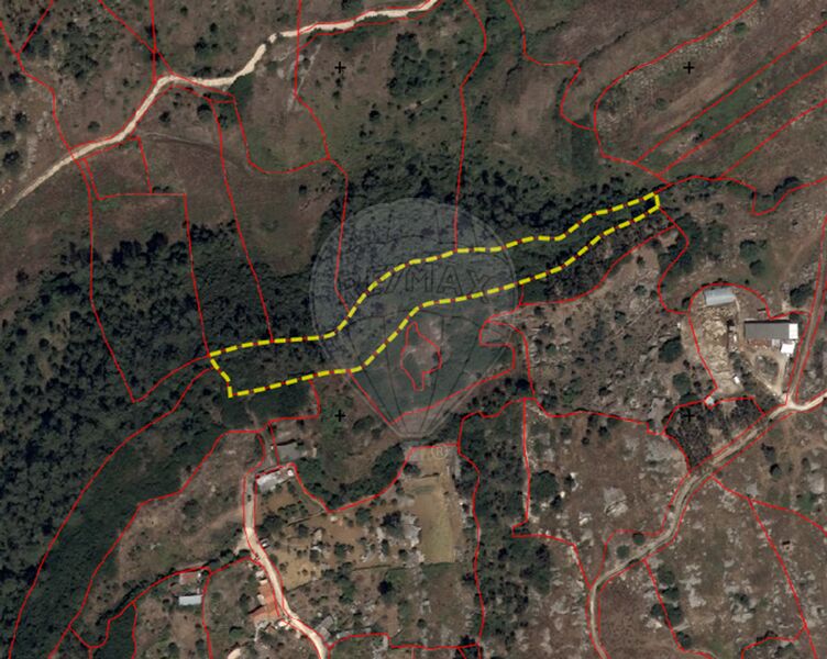 Terreno à venda em Reguengo Grande, Lourinhã RE/MAX Portugal