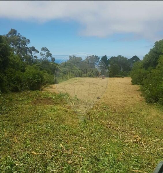 Terreno à venda em Colares, Sintra RE/MAX Portugal