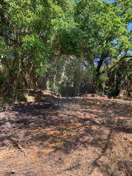 Terreno à venda em Sintra (Santa Maria e São Miguel, São Martinho e São Pedro de Penaferrim), Sintra RE/MAX Portugal