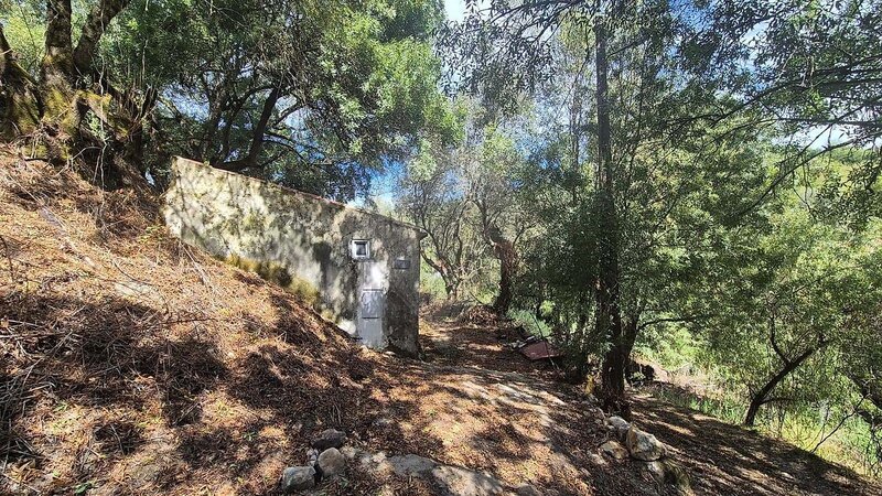 Terreno à venda em Venda do Pinheiro e Santo Estêvão das Galés, Mafra RE/MAX Portugal