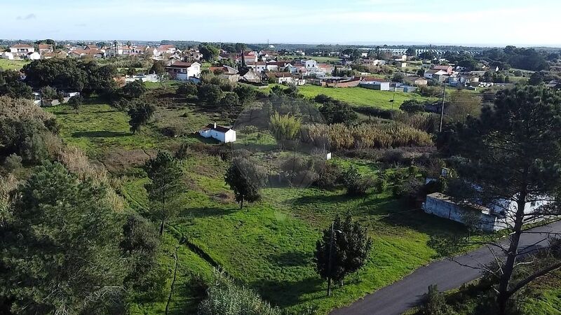 Terreno à venda em Pontével, Cartaxo RE/MAX Portugal