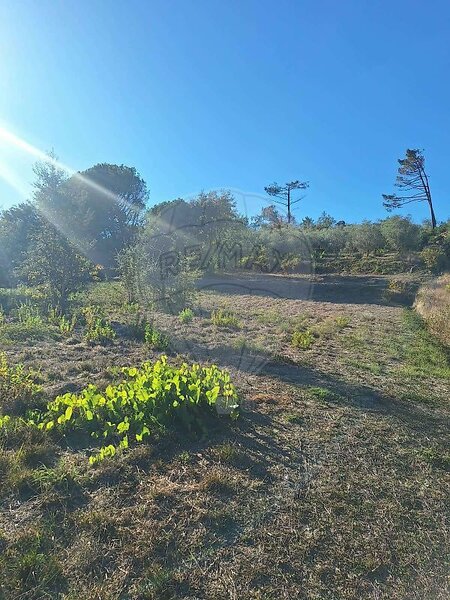 Terreno à venda em Parceiros e Azoia, Leiria RE/MAX Portugal