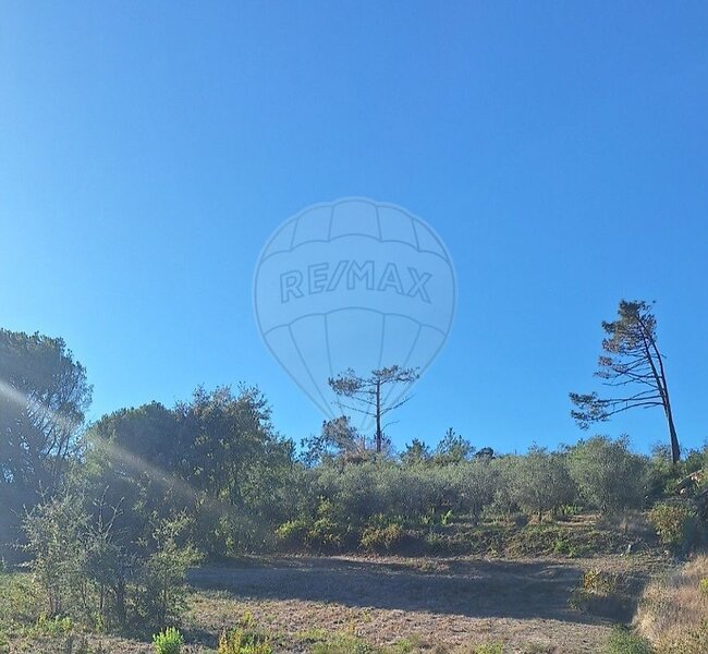 Terreno à venda em Parceiros e Azoia, Leiria RE/MAX Portugal