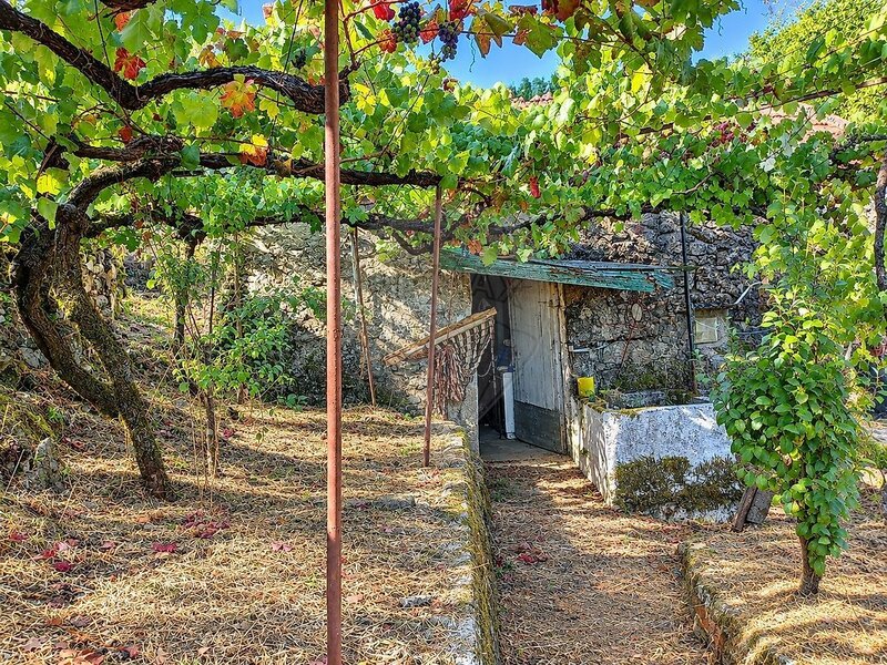 Moradia T1 à venda em Alvora e Loureda, Arcos de Valdevez RE/MAX Portugal