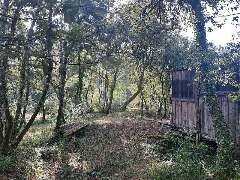 Terreno à venda em Portunhos e Outil, Cantanhede RE/MAX Portugal