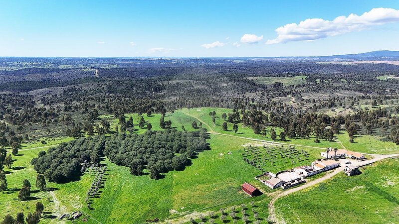 Herdade à venda em Alandroal (Nossa Senhora da Conceição), São Brás dos Matos (Mina do Bugalho) e Juromenha (Nossa Senhora do Loreto), Alandroal RE/MAX Portugal