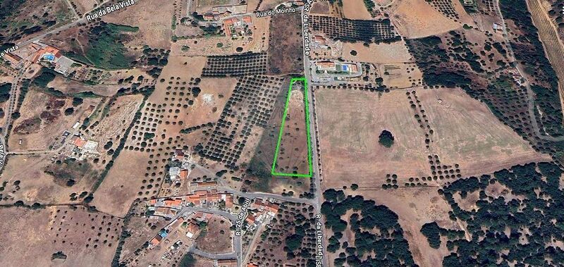 Terreno à venda em Aveiras de Baixo, Azambuja RE/MAX Portugal