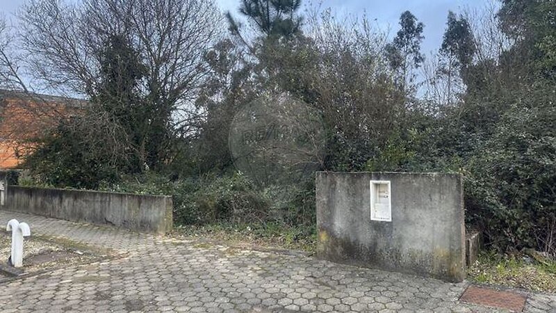 Terreno à venda em Albergaria-a-Velha e Valmaior, Albergaria-a-Velha RE/MAX Portugal