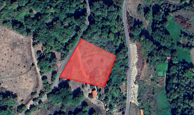 Terreno à venda em Paus, Resende RE/MAX Portugal